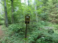 Herkimer Moshier Falls Lower Section 6-28-2016_00008.JPG