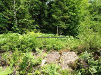 Herkimer Moshier Falls Lower Section 6-28-2016_00017.JPG