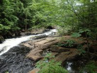 Herkimer Moshier Falls Lower Section 6-28-2016_00040.JPG