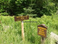 Herkimer Jakes Pond Trail Falls 6-26-2016_00003.JPG