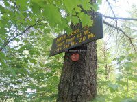Herkimer Jakes Pond Trail Falls 6-26-2016_00010.JPG