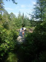 Herkimer Jakes Pond Trail Falls 6-26-2016_00011.JPG
