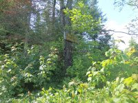 Herkimer Jakes Pond Trail Falls 6-26-2016_00012.JPG