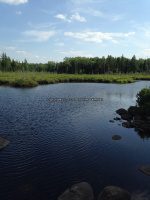Herkimer Jakes Pond Trail Falls 6-26-2016_00015.JPG