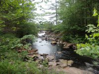 Herkimer Jakes Pond Trail Falls 6-29-2016_00002.JPG