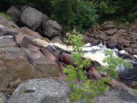 Herkimer Jakes Pond Trail Falls 6-29-2016_00014.JPG