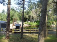 Lewis Effley Falls 6-26-2016_00003.JPG