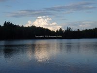 Lewis Soft Maple Development Overnight Camping Area 6-28-2016_00007.JPG