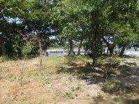 Three Sisters Islands views from 7-6-2016_00038.JPG