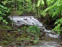 FOXES FALLS HERKIMER COUNTY CENTRAL NEW YORK 5-26-2013_00003.JPG