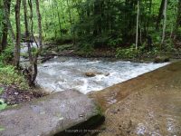 FOXES FALLS HERKIMER COUNTY CENTRAL NEW YORK 5-26-2013_00004.JPG