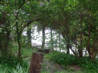 UNKNOWN FALLS SCHOHARIE COUNTY EASTERN NEW YORK 5-26-2013_00001.JPG