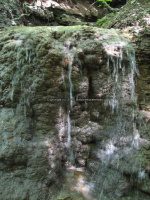 Mt Hope Reservior Madison Central NY 7-1-2012_00014.JPG