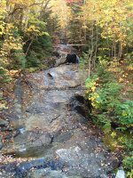 IMG_0784.JPG