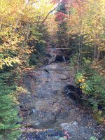 IMG_0787.JPG