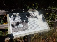 PA150608.JPG