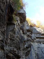 PA150650.JPG