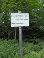 STONEY BROOK FALLS LOWER OSWEGO COUNTY CENTRAL NEW YORK 8-3-2013_00003.JPG