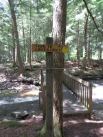 STONEY BROOK FALLS LOWER OSWEGO COUNTY CENTRAL NEW YORK 8-3-2013_00005.JPG
