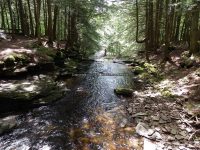 STONEY BROOK FALLS LOWER OSWEGO COUNTY CENTRAL NEW YORK 8-3-2013_00007.JPG