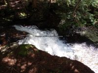 STONEY BROOK FALLS LOWER OSWEGO COUNTY CENTRAL NEW YORK 8-3-2013_00008.JPG