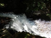 STONEY BROOK FALLS LOWER OSWEGO COUNTY CENTRAL NEW YORK 8-3-2013_00009.JPG