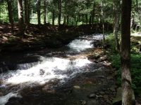 STONEY BROOK FALLS MIDDLE OSWEGO COUNTY CENTRAL NEW YORK 8-3-2013_00001.JPG