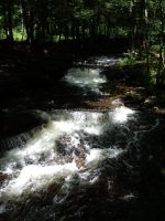 STONEY BROOK FALLS MIDDLE OSWEGO COUNTY CENTRAL NEW YORK 8-3-2013_00002.JPG