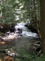 STONEY BROOK FALLS UPPER OSWEGO COUNTY CENTRAL NEW YORK 8-3-2013_00006.JPG