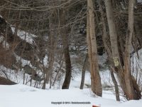 Muitzes Kill Falls Rensselaer County Eastern New York 2-23-2014_00002.JPG