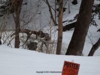 Muitzes Kill Falls Rensselaer County Eastern New York 2-23-2014_00003.JPG