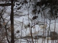 Muitzes Kill Falls Rensselaer County Eastern New York 2-23-2014_00006.JPG