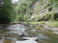 CANASERGA LOWER FALLS LIVINGSTON COUNTY WESTERN NEW YORK 8-11-2013_00008.JPG