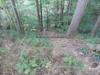 CANASERGA UPPER FALLS LIVINGSTON COUNTY WESTERN NEW YORK 8-11-2013_00012.JPG