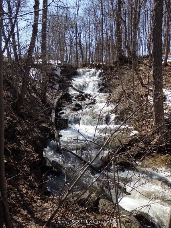 OXBOW FALLS (falls at) MADISON COUNTY CENTRAL NEW YORK 4-6-2014_00001.JPG