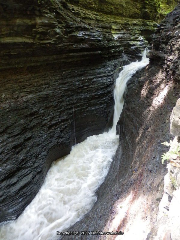 PLUTO FALLS in WATKINS GLEN SCHUYLER COUNTY CENTRAL NEW YORK 8-10-2013_00004.JPG