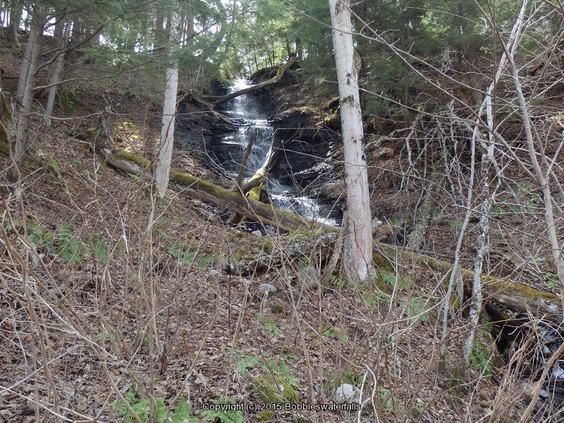 MOHAWK RIVER FALLS ON ONEIDA NY 4-19-2015_00005.JPG
