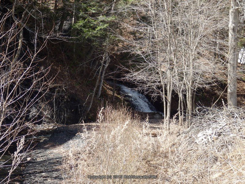 UNKNOWN FALLS ONEIDA NY 4-19-2015_00002.JPG