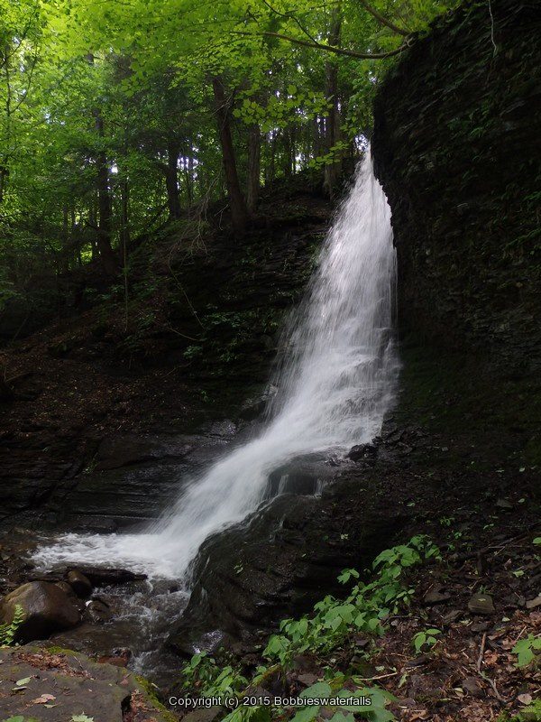 BUCKTAIL FALLS ONONADAGA 6-14-2015_00009.JPG