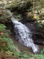 WHITESTORE FALLS CHENANGO COUNTY CENTRAL NEW YORK 8-8-2014_00003.JPG