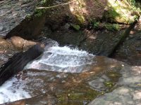 WHITESTORE FALLS CHENANGO COUNTY CENTRAL NEW YORK 8-8-2014_00006.JPG