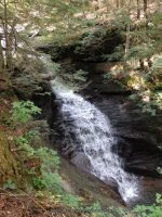 WHITESTORE FALLS CHENANGO COUNTY CENTRAL NEW YORK 8-8-2014_00010.JPG