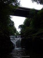 MANOR KILL FALLS SCHOHARIE COUNTY EASTERN NEW YORK 8-22-2014_00018.JPG