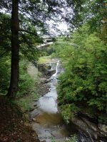 MINE KILL FALLS SCHOHARIE COUNTY EASTERN NEW YORK 8-22-2014_00004.JPG