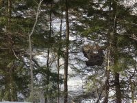 Krystal Falls Schenectady County Eastern New York 2-22-2014_00001.JPG