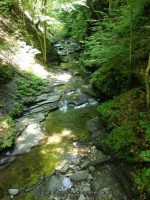 FILMORE bridge 7 to 8 upper pinnacle_00001.JPG