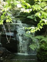FILMORE bridge 7 to 8 upper pinnacle_00006.JPG