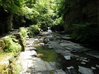 FILMORE bridge 7 to 8 upper pinnacle_00012.JPG