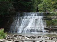 STONEY BROOK  MIDDLE SECTION STEUBEN WESTERN NY 8-11-2013_00002.JPG