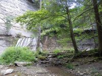 SUGAR CREEK GLEN UPPER SECTION LIVINGSTON WESTERN NY 8-11-2013_00001.JPG